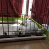 この寝方。。。飼い主と一緒！笑
