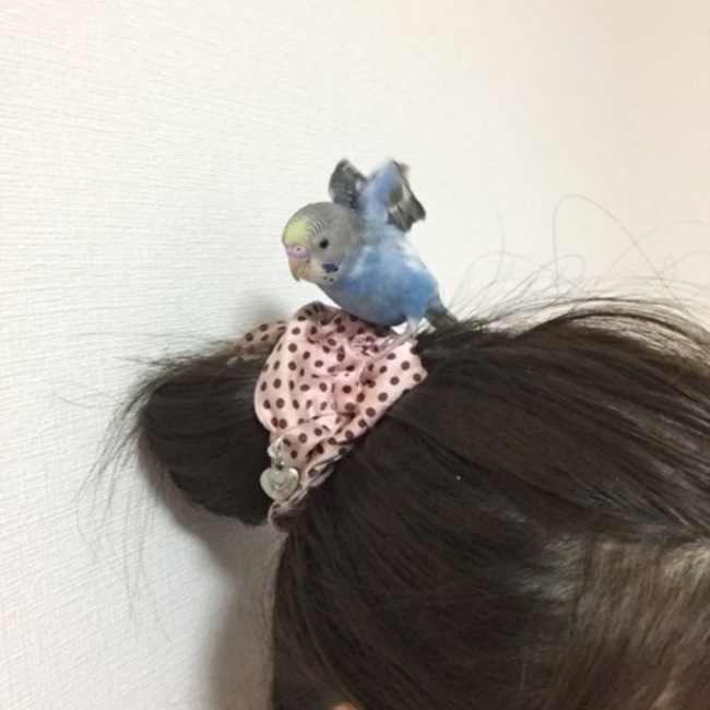 mitton0314のカバー写真