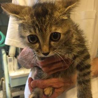 無事決まりました！