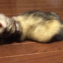 応募して下さった方ありがとうございました