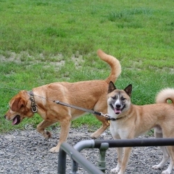 出戻り満喫中～