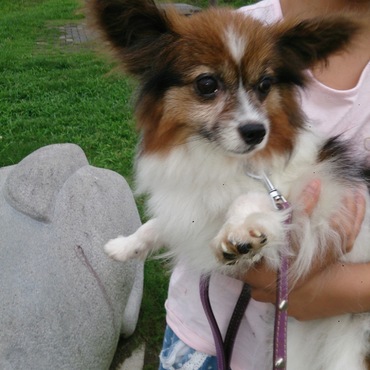 出流原パーキングで休憩散歩。皆がさくらちゃん見てニッコリ。