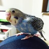 まだ来たばかりのころ！