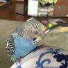 おひるね〜