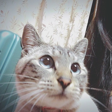 ルナの写真