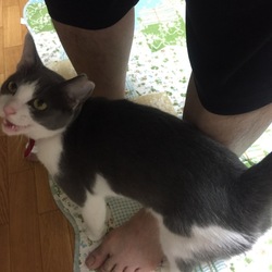 ツンときどき・・たまにデレる？