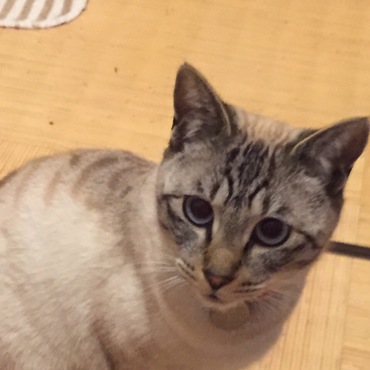 ルナの写真