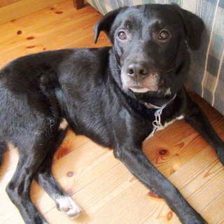 優しい男子『MOON（ムーン）』だよ