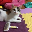 幸子ちゃん〜1歳未満