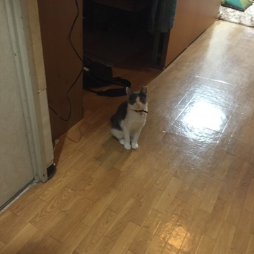 いってらっしゃい