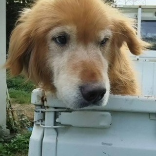 【決定】小柄なGレト女の子♪