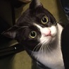 ユーコりん。