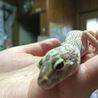 散歩