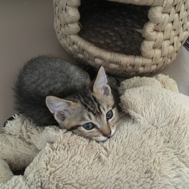 落ち着いてきた？