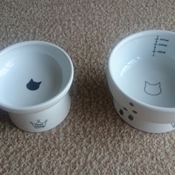 「雅(みやび)の爪切り訓練 その7+α」サムネイル1