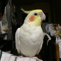 みるく