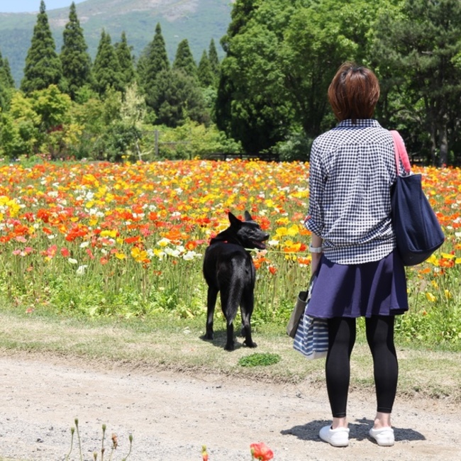 豆たろうくんのカバー写真