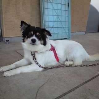 穏やかな大人女子マリリン