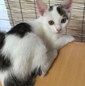 5月上旬生まれ