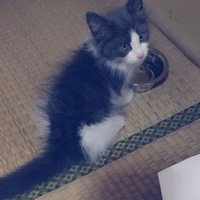 ミー