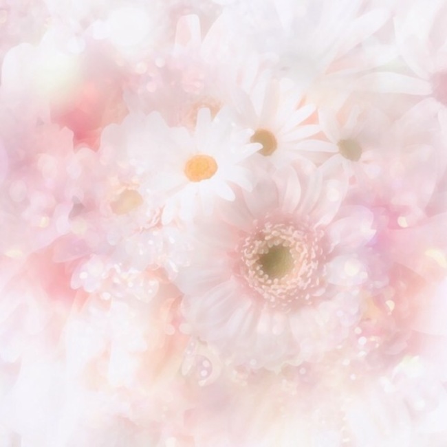 ゆたそ。のカバー写真