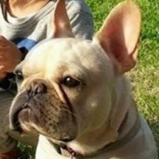 クリーム男の子