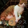 おがみん