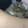 の写真