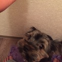 １歳の男の子