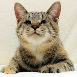 心に光と希望を！光希ちゃん