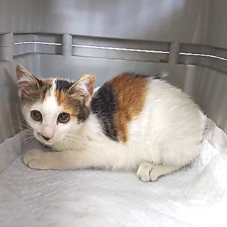 生後３ヶ月　元気いっぱい！可愛い女の子