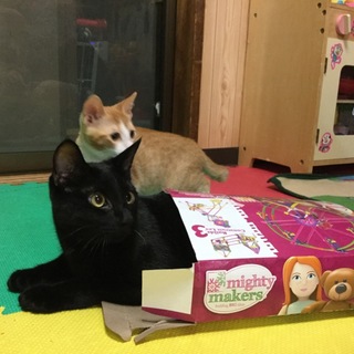 素敵なご夫婦に巡り会えました