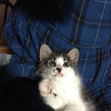 の写真