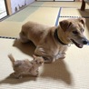 仲良くなってね♡