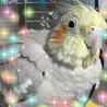 おピピ
