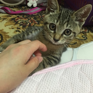 とても優しい方に出会う事ができました！