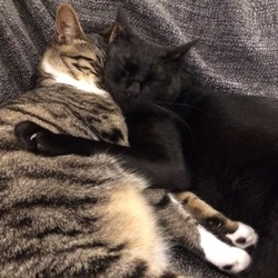 「水槽」サムネイル2