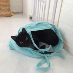 「水槽」サムネイル3