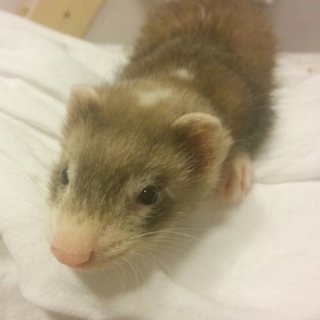 応募者多数の為、終了させて頂きました