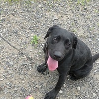 Lovely　らぶりぃ