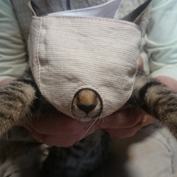 「もふもふマスク、雅(みやび)には意味なし」サムネイル2