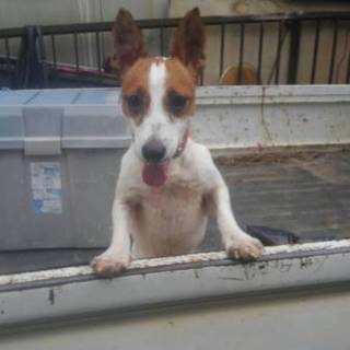 くるみ　　おとなしい子です