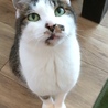 こちびちゃん 16歳 いつまでたっても人見知り、、´д` ;