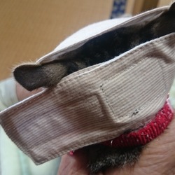 「もふもふマスクを雅(みやび)用に手を加えてみた」サムネイル3