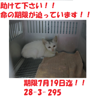 お迎え有り難うございます！！