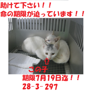 お迎え有り難うございます！！