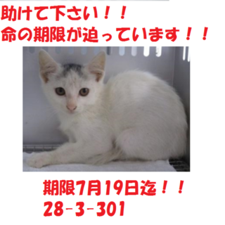 お迎え有り難うございます！！