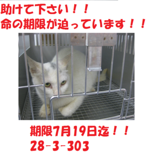 お迎え有り難うございます！！