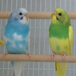 たくさんのお問い合わせありがとうございました。