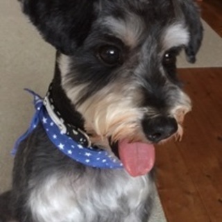 （男の子)　推定3歳